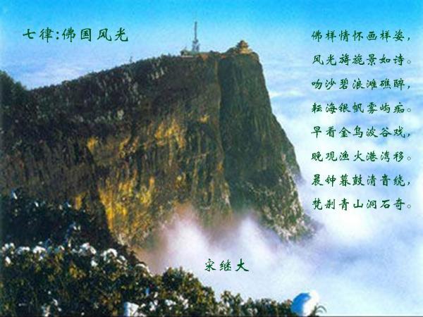 萌兔兔闯关